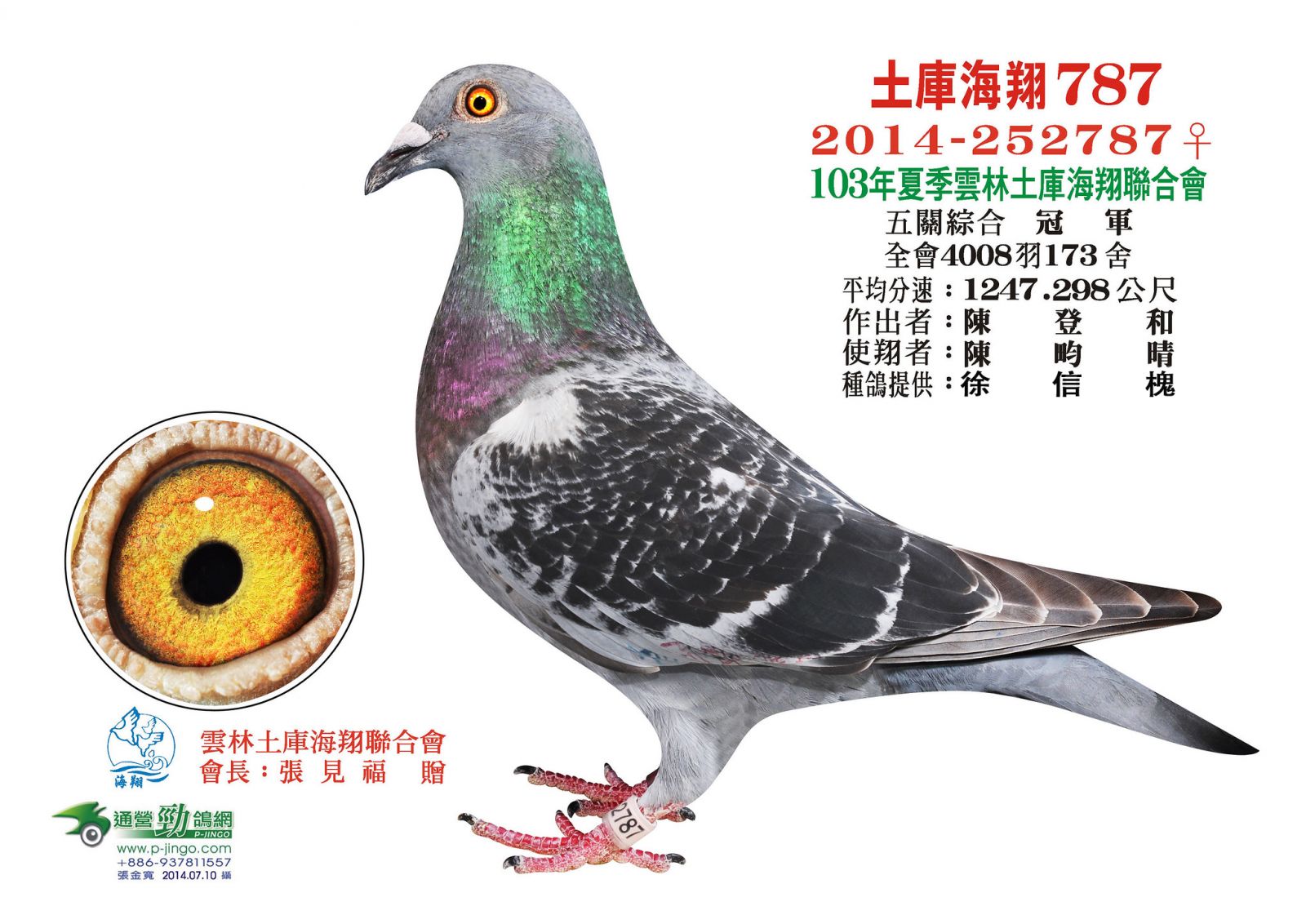 好鴿網nicepigeon 台灣賽鴿拍賣網站最佳首選!